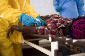 WHO allows use of unproven ZMapp on Ebola patients - ảnh 1