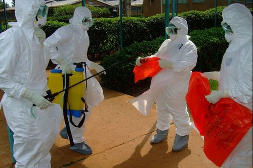 WHO drafts strategies to deal with Ebola epidemic - ảnh 1