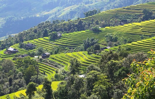 Lyrical rice terraced landscapes of Hoang Su Phi - ảnh 2