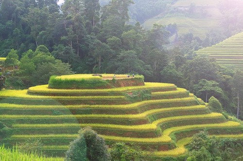 Lyrical rice terraced landscapes of Hoang Su Phi - ảnh 4
