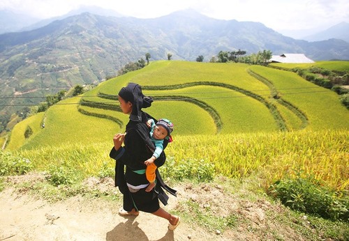 Lyrical rice terraced landscapes of Hoang Su Phi - ảnh 9