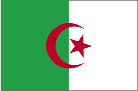 Vietnamese leaders sends congratulation to Algeria on Independence Day - ảnh 1