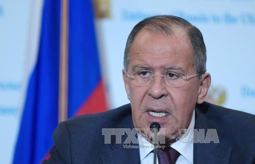 Russia, US share common view on resolving Syrian crisis - ảnh 1