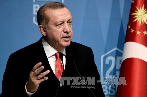 Turkey seeks to ease Qatar tension - ảnh 1