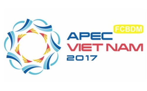 APEC Finance, Central Bank Deputies discuss cooperation priorities for 2017 - ảnh 1