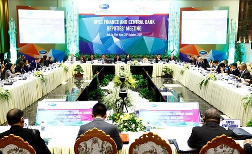 APEC Finance, Central Bank Deputies discuss cooperation priorities - ảnh 1
