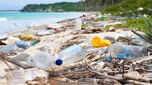 'Zero tolerance' plan eyed for plastic pollution - ảnh 1