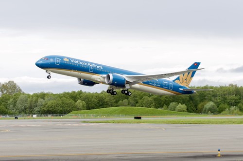 Vietnam Airlines adds flights to Indonesia for football fans - ảnh 1