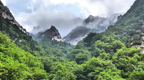Two Koreas to hold joint New Year's event at Mt. Kumgang  - ảnh 1