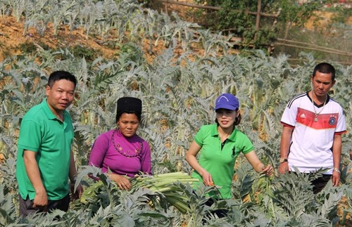 R&D director helps Sa Pa farmers escape poverty through medicinal plants - ảnh 1