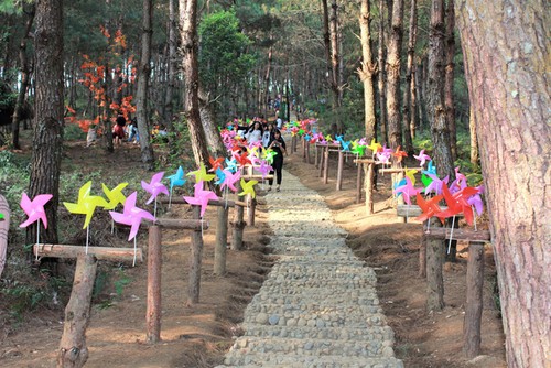 Sin Suoi Ho village, Ta Leng pine forest features magnificent scenery, ethnic culture - ảnh 5