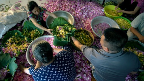 Ho Tay lotus tea scenting – quintessence of Hanoi - ảnh 17