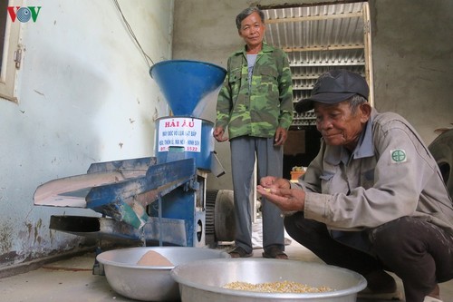 Ninh Thuan farmer invents new corn husking machine - ảnh 1