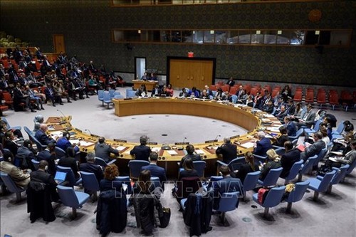 UN Security Council holds debate on countering terrorism in Africa - ảnh 1