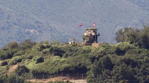 UN Command investigates gunfire in border of two Koreas - ảnh 1
