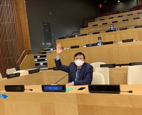 Vietnam supports efforts to ensure peace, stability in Golan Heights - ảnh 1