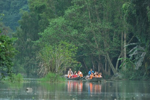 Thung Nham Bird Park – a site for bird lovers - ảnh 2