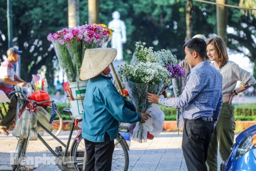 Ox-eye daisies create marvelous scenery on Hanoi streets - ảnh 7