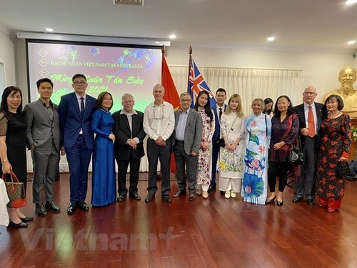 Diplomatic agencies celebrate Tet with OVs - ảnh 1