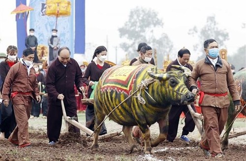 President attends traditional New Year ploughing festival  - ảnh 1