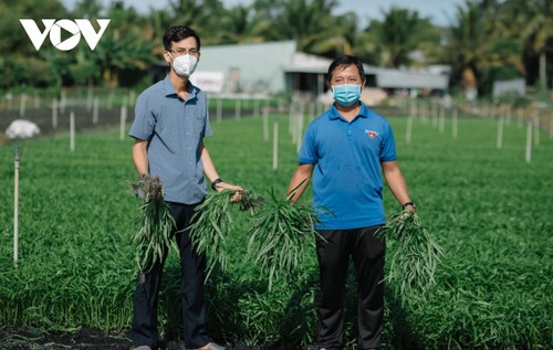 Business director supports farmers during pandemic - ảnh 1