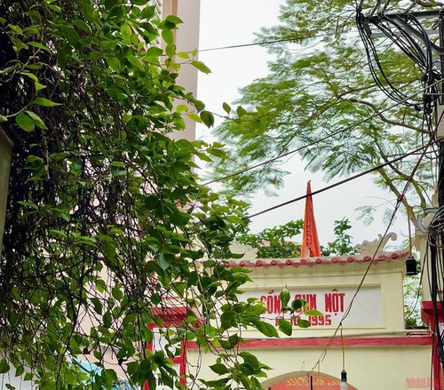 Thuy Khue – the street of village gates in Hanoi - ảnh 21