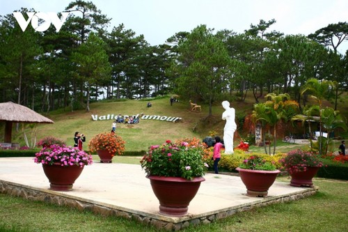 Da Lat among leading must-see flower destinations globally - ảnh 1