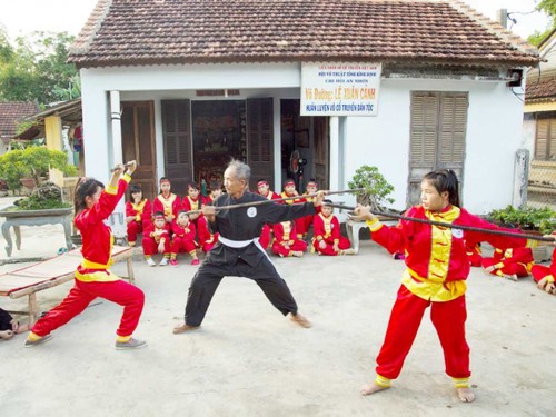 Binh Dinh martial arts seek UNESCO honour - ảnh 1