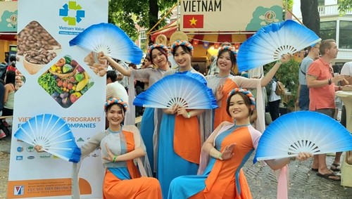 Vietnamese culture introduced at Embassy Festival in Netherlands - ảnh 1