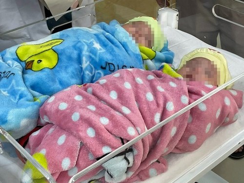Twins survive after premature birth, weighing just 500g - ảnh 1