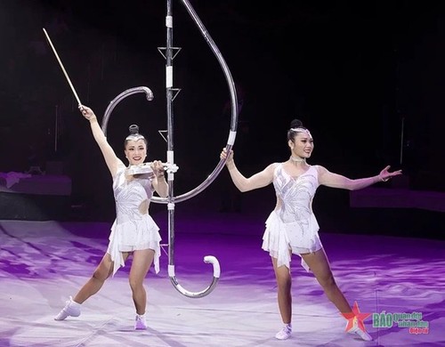 Vietnam wins gold at International Circus Festival in Russia - ảnh 1