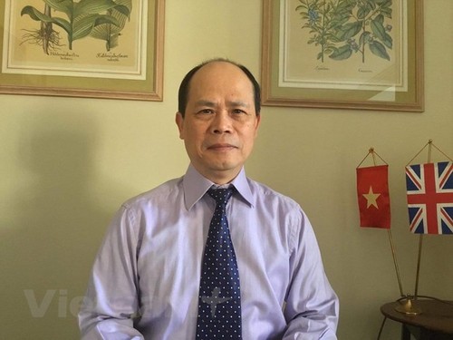 Vietnamese exporters having advantages in UK: trade counsellor - ảnh 1