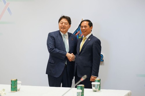 Vietnam promotes cooperation with US, Japan - ảnh 1