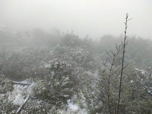 Snow covers top of Mount Fansipan - ảnh 2