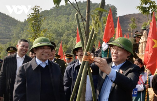NA leader launches tree planting festival in Tuyen Quang - ảnh 1