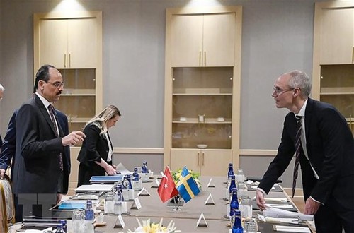 Sweden, Finland, Turkey hold NATO talks, agree to more meetings - ảnh 1