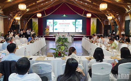 Quang Nam launches summer tourism activities - ảnh 1