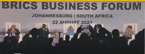 15th BRICS summit opens in Johannesburg - ảnh 1