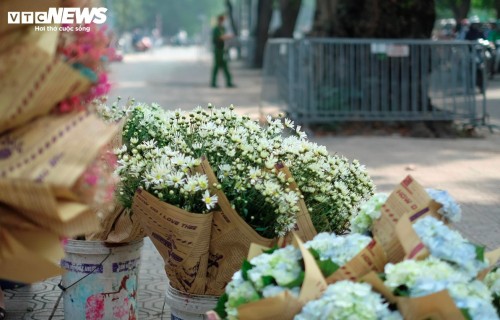 Hanoi streets dotted with daisies as winter approaches - ảnh 10