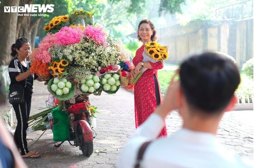 Hanoi streets dotted with daisies as winter approaches - ảnh 3