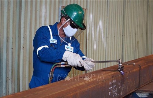 Industrial production grows in 49 localities - ảnh 1