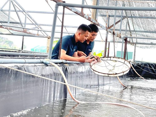 Quang Ninh IT engineer’s software eases farmers’ workload  - ảnh 2