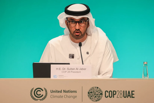 COP28 president urges countries to set aside narrow self-interest - ảnh 1