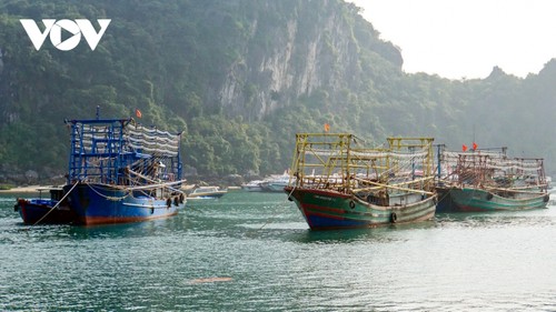 All-out efforts needed to get IUU yellow card removed: Minister - ảnh 1
