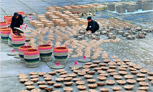 Kim Son sedge weaving craft recognized as national heritage - ảnh 1