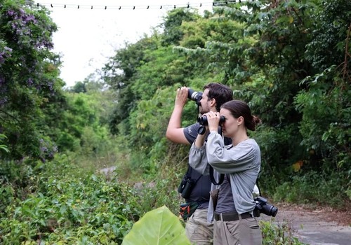 Tourists dazzled by purple flowers on Son Tra Peninsula - ảnh 3