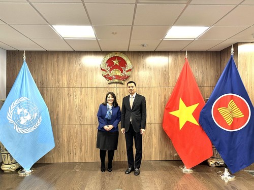Vietnam and UNICEF enhance cooperation in child care, protection - ảnh 1