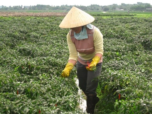 Huy động sức dân trong  xây dựng nông thôn mới: Cách làm hay ở huyện Như Thanh, tỉnh Thanh Hóa - ảnh 1