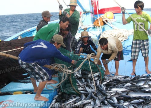 Hội Nghề cá Việt Nam phản đối lệnh cấm đánh bắt cá khu vực biển Đông - ảnh 1