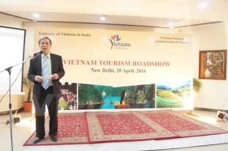Thúc đẩy quảng bá du lịch Việt Nam tại Ấn Độ - ảnh 1